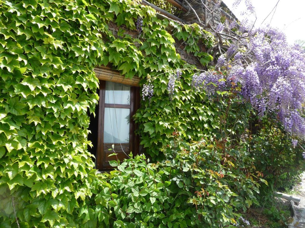 Catifalarga Alpujarra Landhaus Capileira