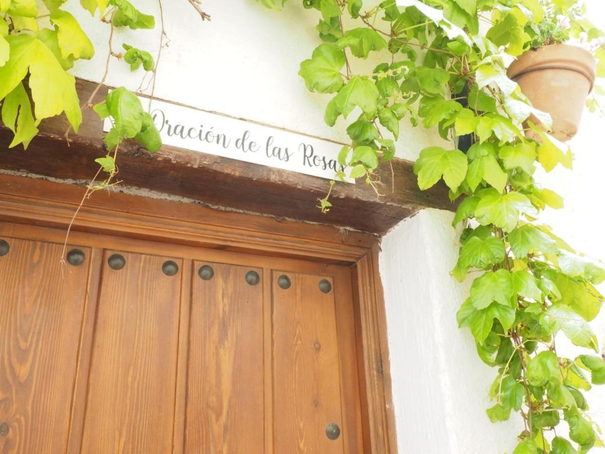 Landhaus Catifalarga Alpujarra *