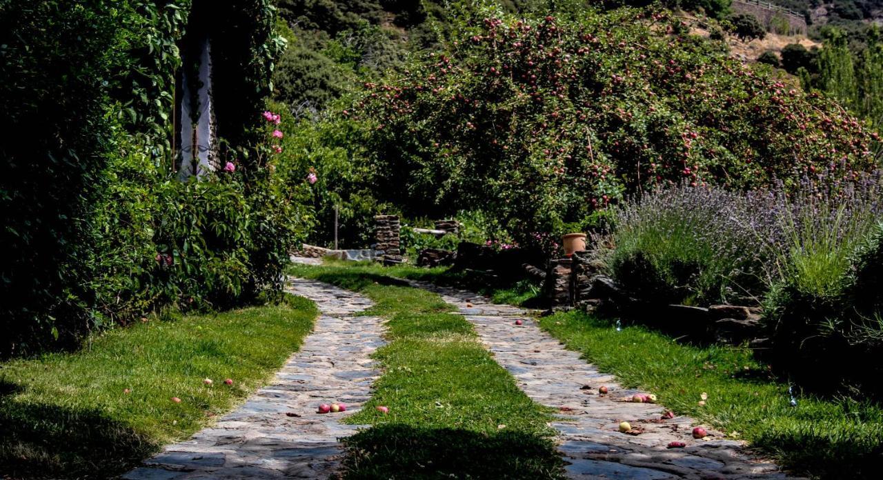 Landhaus Catifalarga Alpujarra Capileira