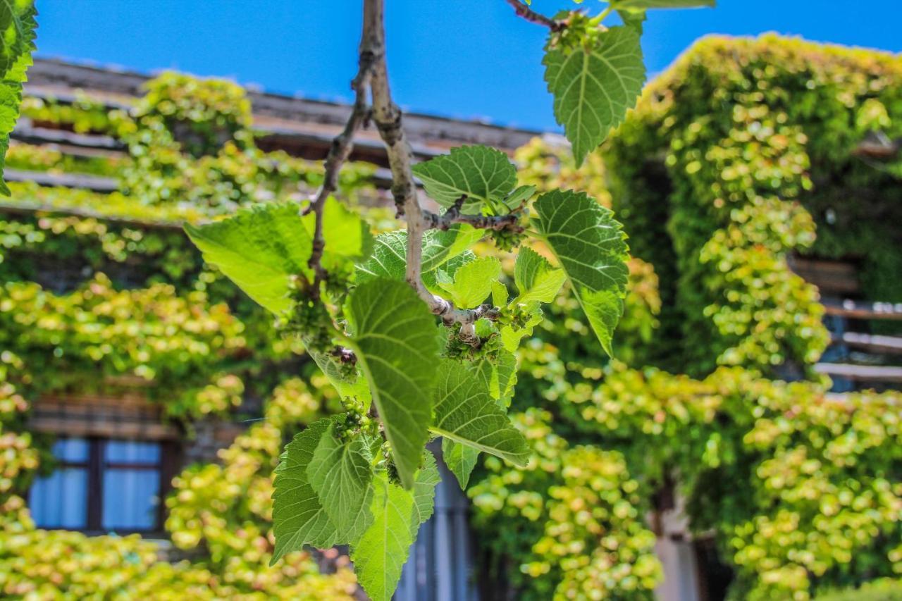 Catifalarga Alpujarra Country house